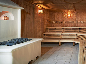 Biosauna