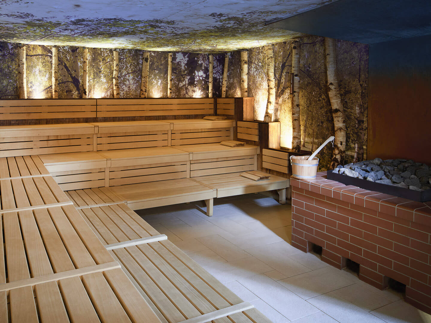 Birch sauna