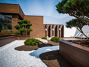 Japanese garden