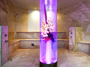 Steam bath