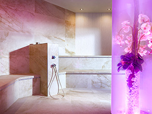 Steam bath